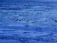 內(nèi)蒙古呼倫湖自駕車露營(yíng)地